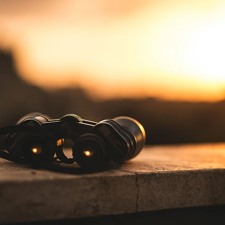 Choisir le bon logiciel pour gérer les pénalités des fournisseurs