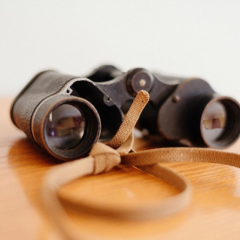 Comment choisir le meilleur logiciel pour suivre les appels d'offres fournisseurs