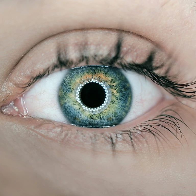 Optimiser la gestion de trésorerie pour les opérations d'approvisionnement